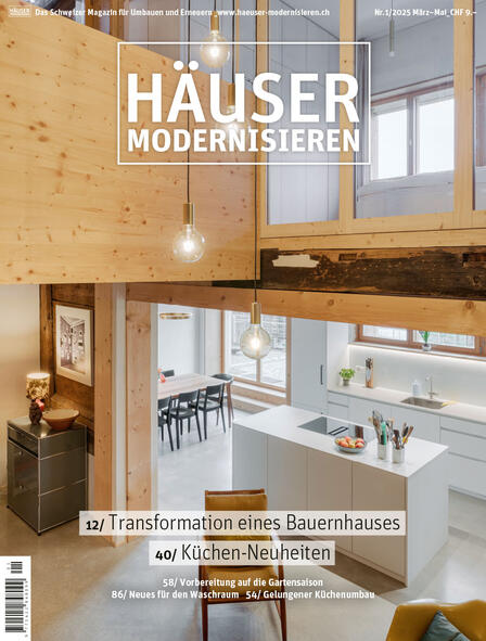 Häuser modernisieren 01/2025