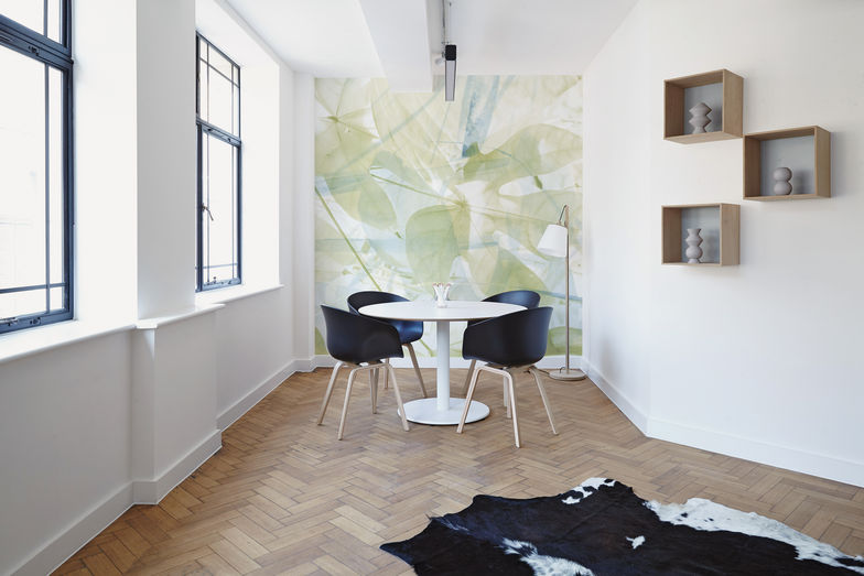 Wanda designt neben Ober­flächen für Glas und Textilien auch Tapeten, wie beispielsweise die Vliestapete «Plants».